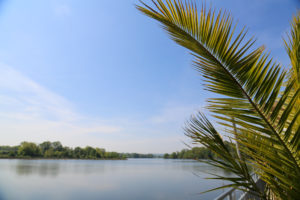 Vue imprenable sur le lac de ribou restaurant cholet